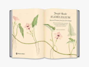 Thames & Hudson - Joseph Banks' Florilegium 3