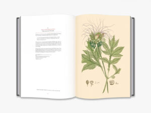 Thames & Hudson - Joseph Banks' Florilegium 2