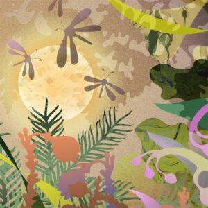 Thames & Hudson - Forest Dream 2