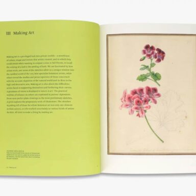 Thames & Hudson - Botanical Sketchbooks 2
