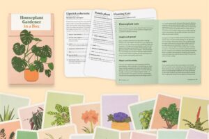 Thames & Hudson - Houseplant Gardener in a Box 4