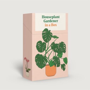 Thames & Hudson - Houseplant Gardener in a Box